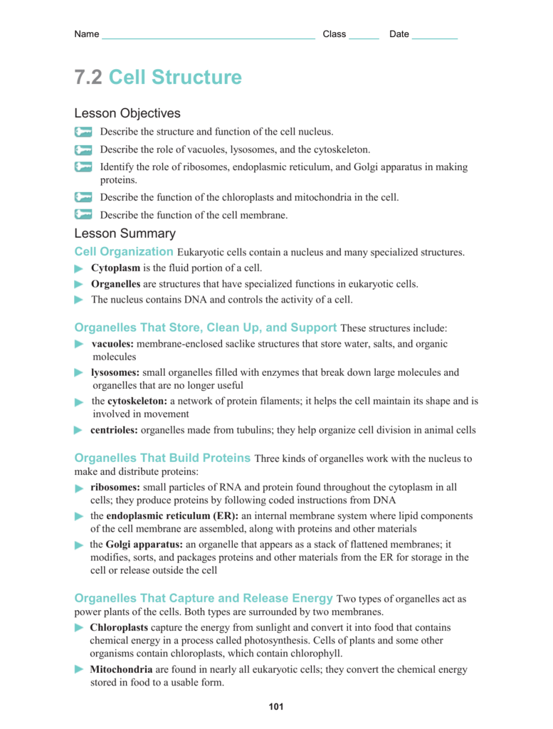 Eukaryotic Cell Structure Worksheet Worksheets For All