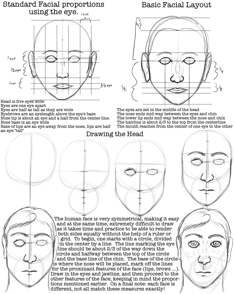 Facial Proportions Worksheet By Lantairvlea On Deviantart