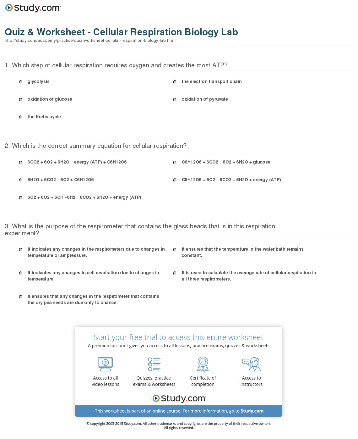 Fair Year 9 Biology Worksheets With Answers In Quiz Worksheet