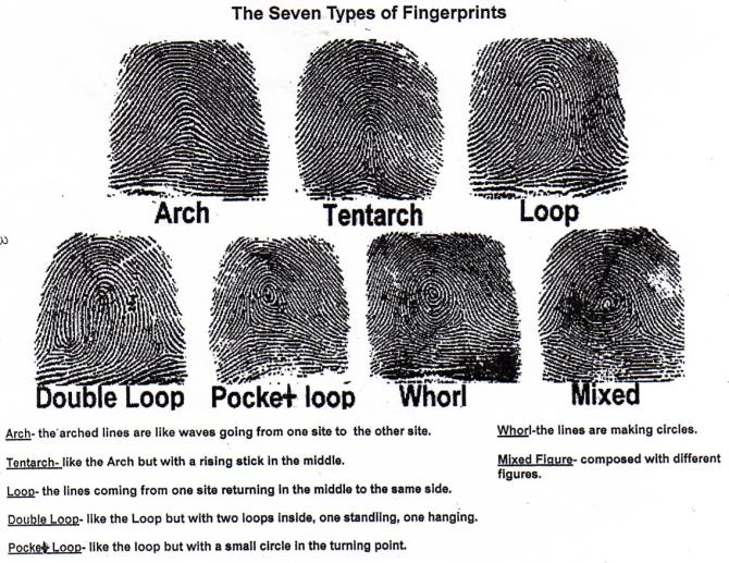 Fingerprint Analysis Worksheet The Best Worksheets Image