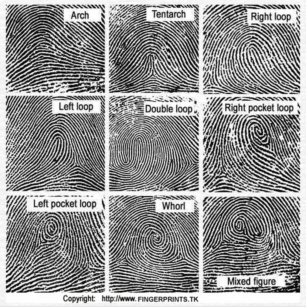 Fingerprint Types