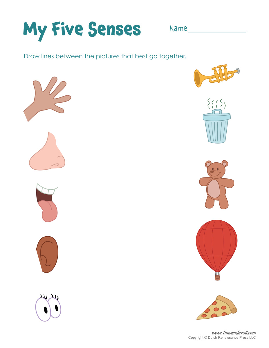 Free Five Senses Worksheets For Kids