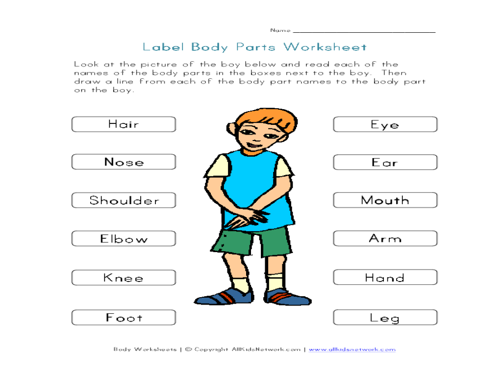 Label Body Parts Worksheet French