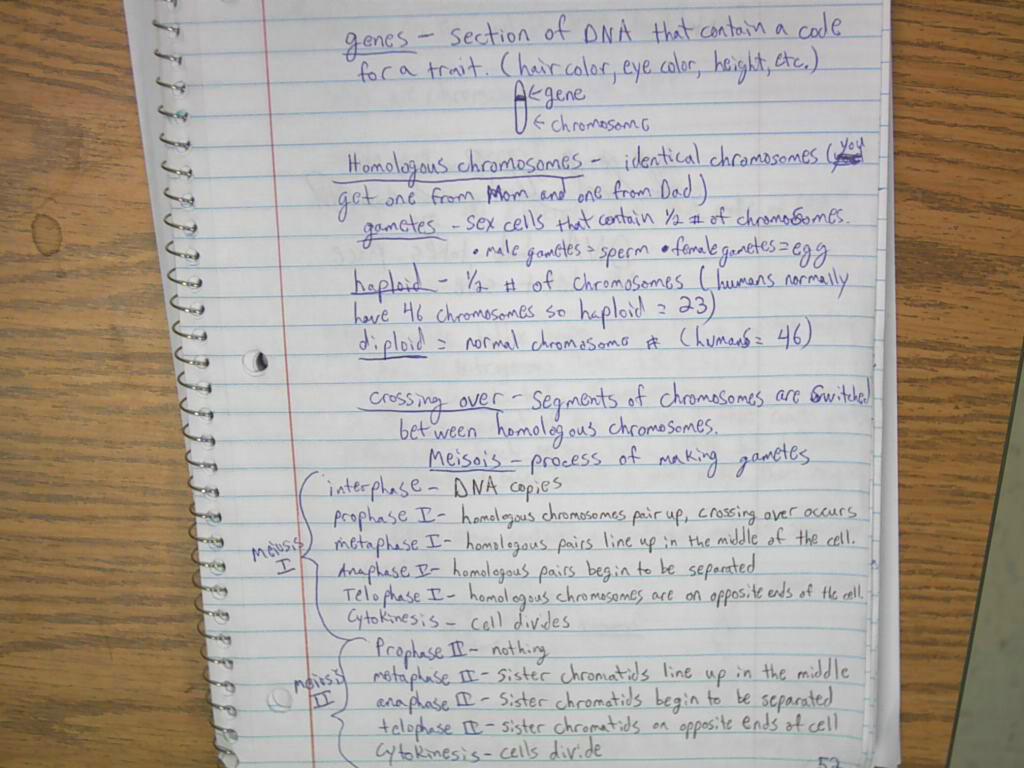 Notebooks And Classwork 1st Semester
