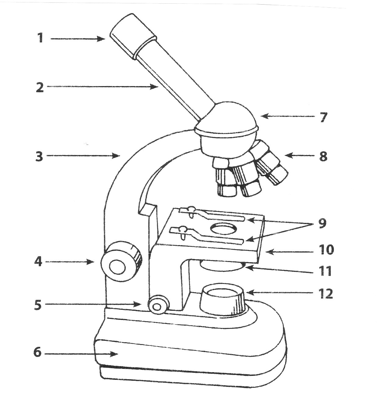 Parts Of A Microscope Worksheet