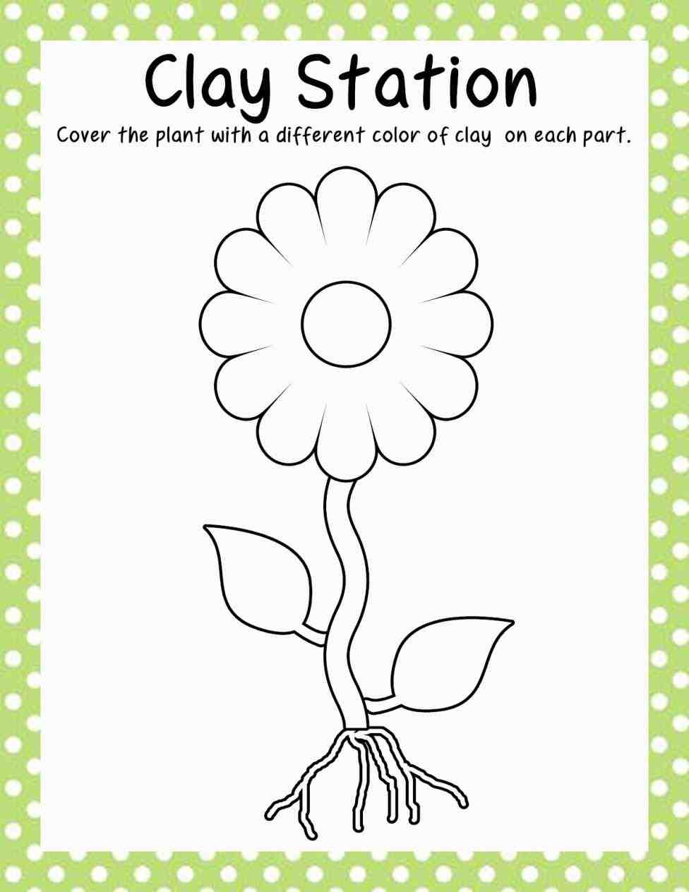 parts of a flower kindergarten worksheets