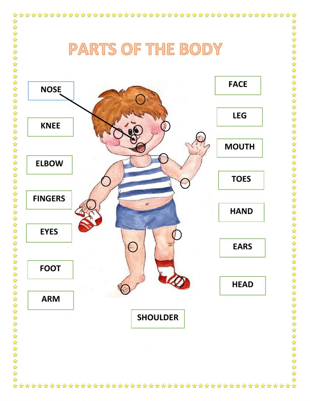 Parts Of The Body