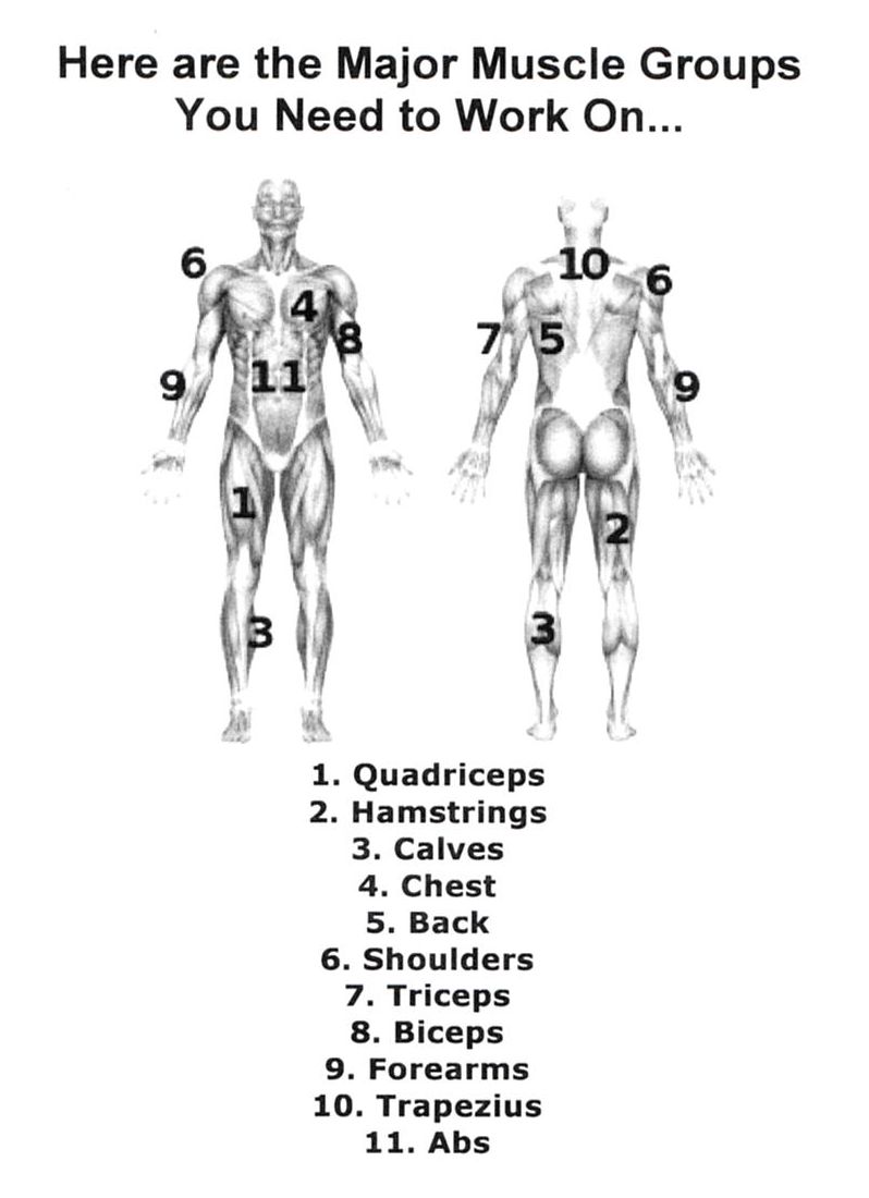 Physical Education   Health
