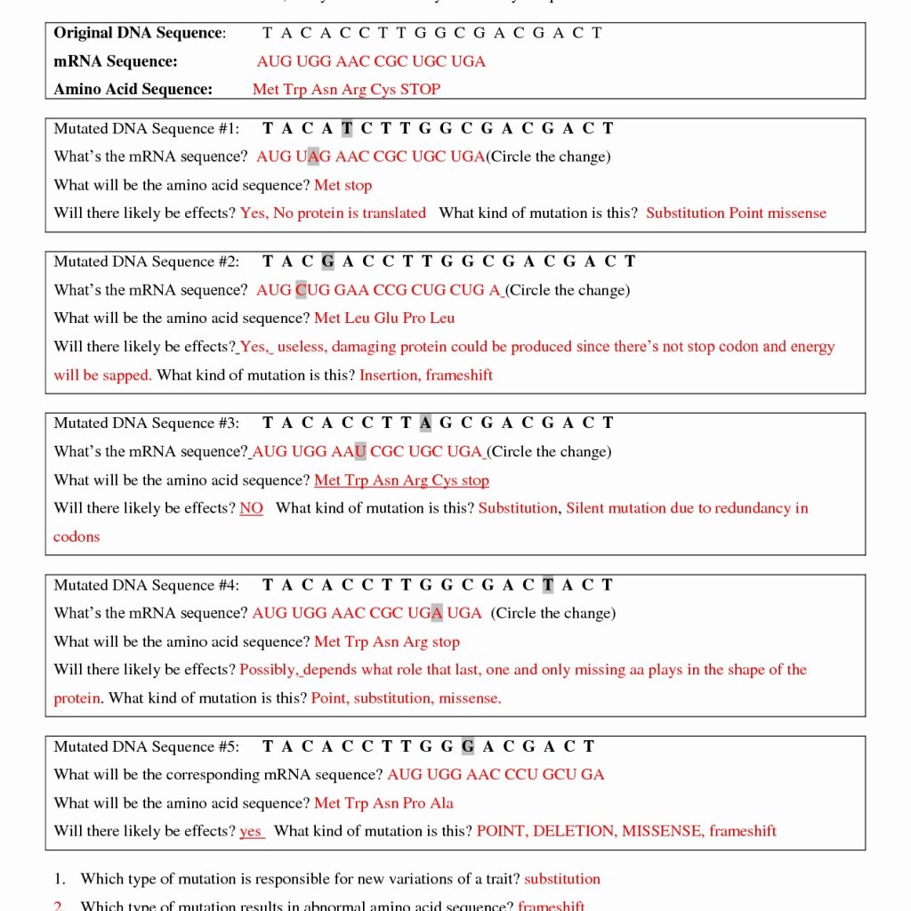 Protein Synthesis Transcription And Translation Worksheet Answers