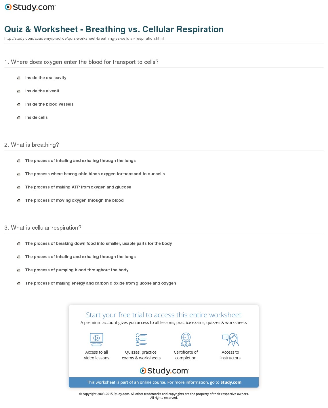 Quiz & Worksheet