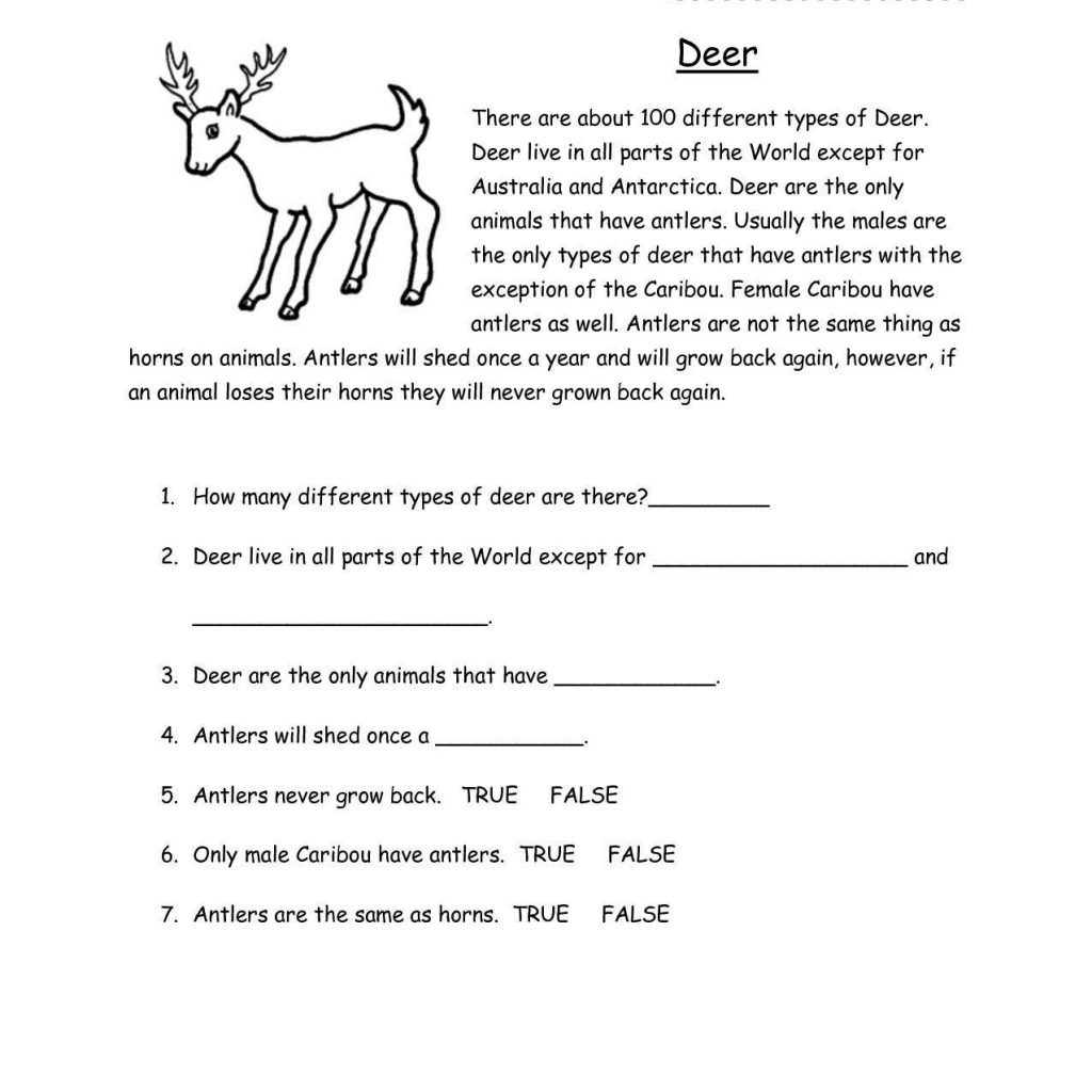 Reading Comprehension Worksheets For 2nd Grade And Reading