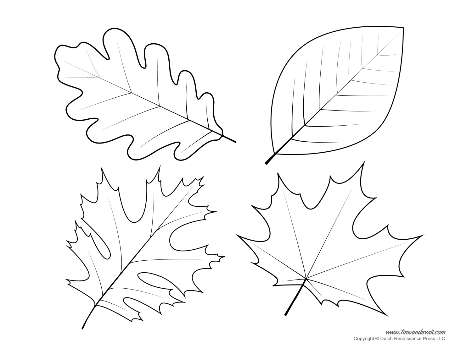 Ultimate Fall Leaf Printables Perspective Printable Leaves To Cut