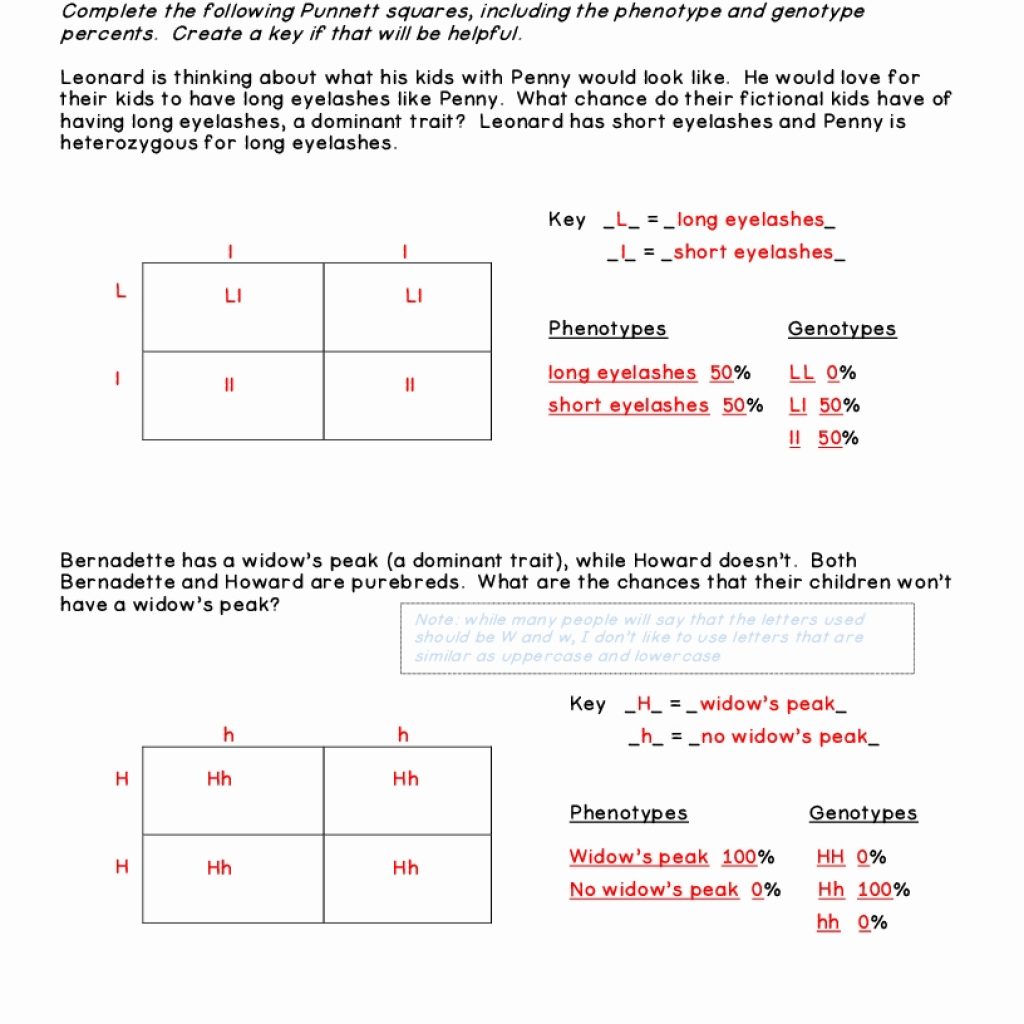 Worksheet  Punnett Square Worksheet  Thedanks Worksheet For Everyone
