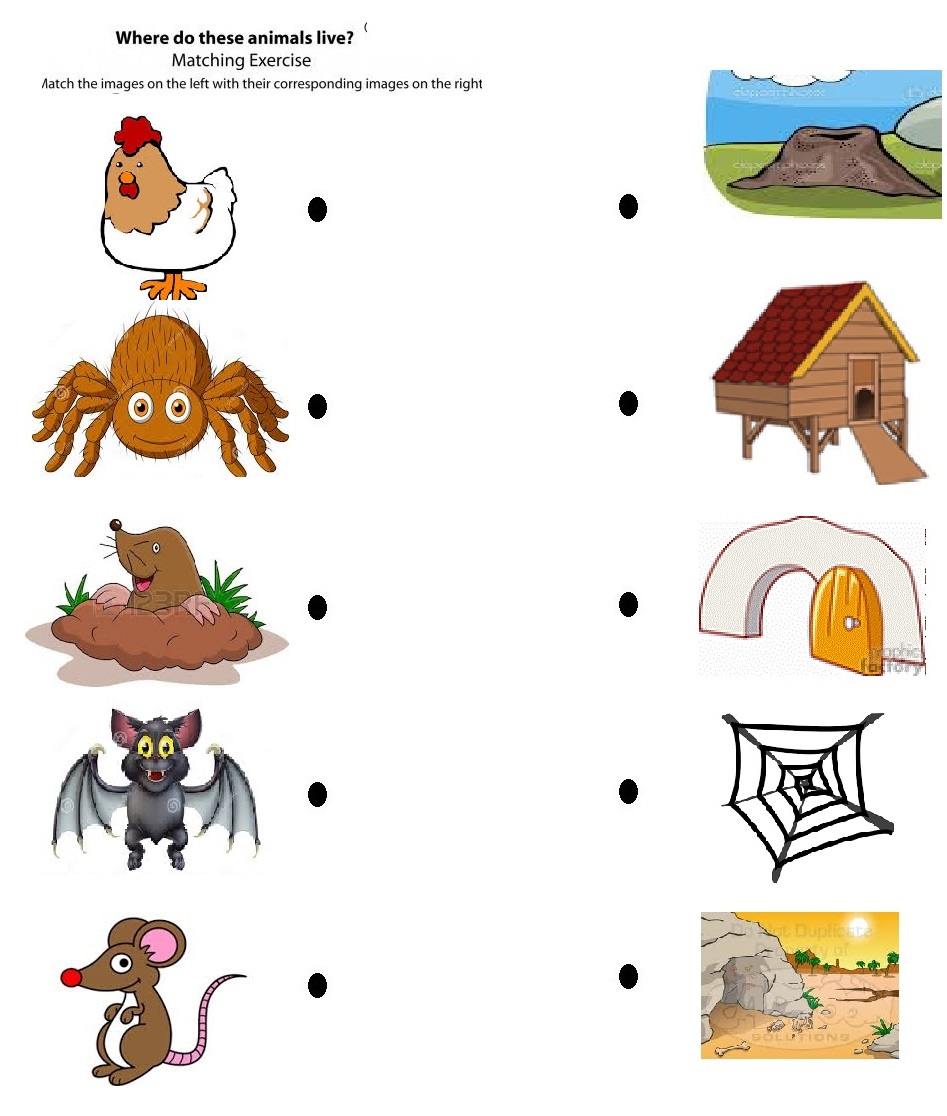 Animals And Their Homes Clipart Free Printable Matching To Home