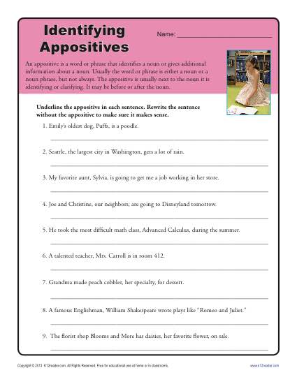 Appositive Worksheet