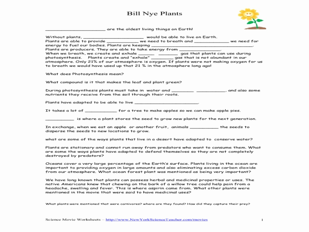 Bill Nye Energy Transformation Worksheet