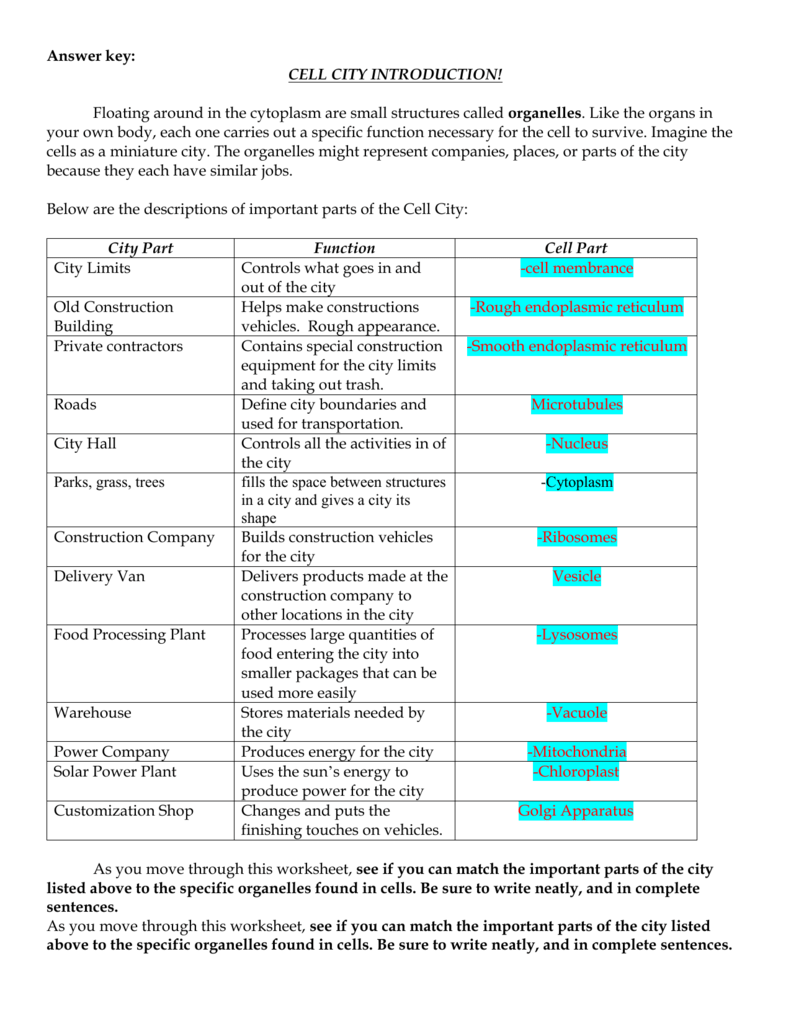 Cell Analogy Worksheet
