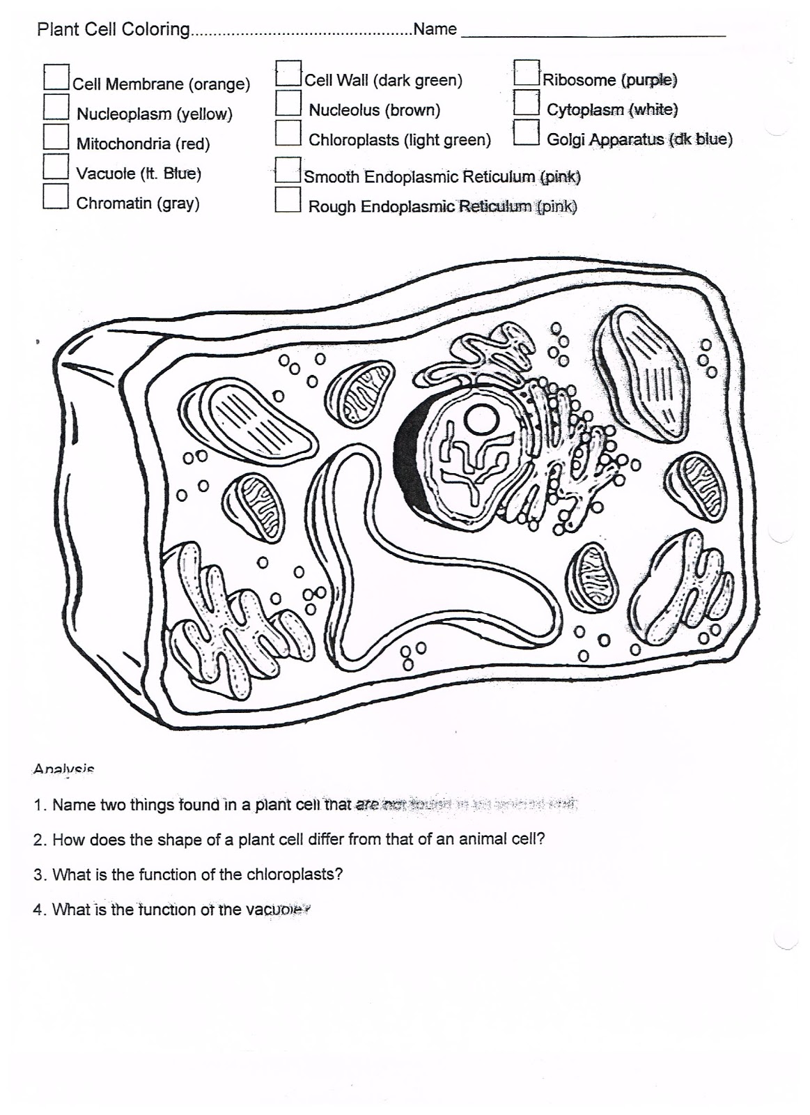 Cell Coloring Worksheet