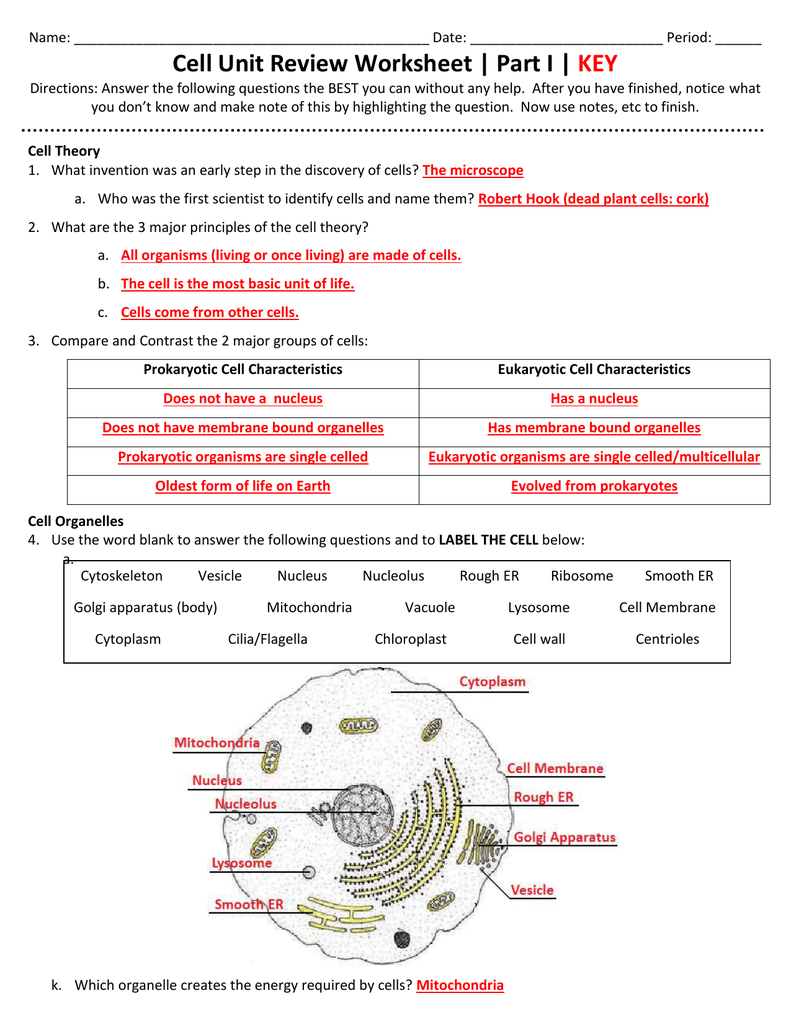 Cell Unit Review Worksheet