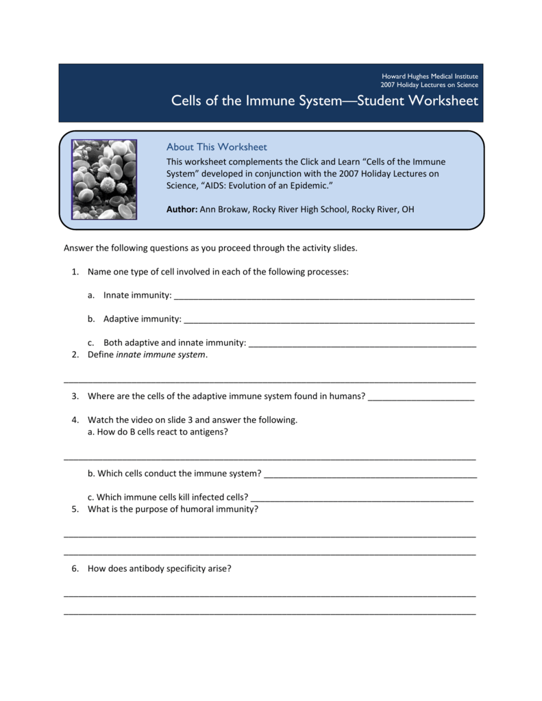 Cells Of The Immune System Student Worksheet Worksheets For All