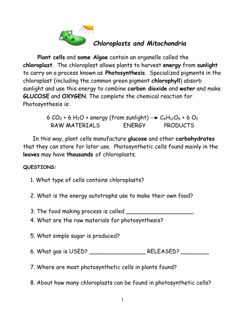 Chloroplasts And Mitochondria (autosaved)