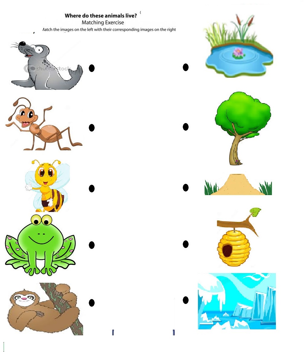 Craftsactvities And Worksheets For Preschooltoddler Kindergarten
