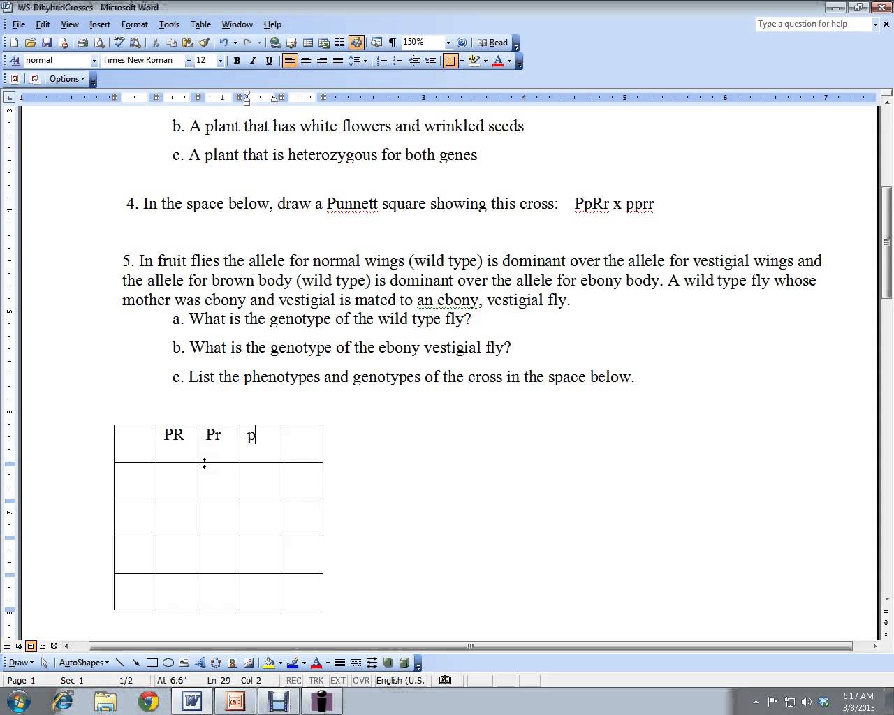 Dihybrid Cross Practice Worksheet