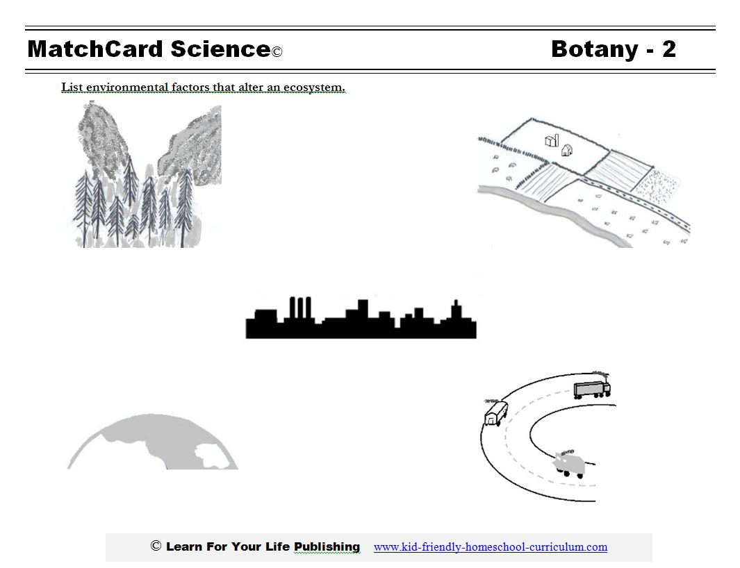 Ecology Lesson Plan