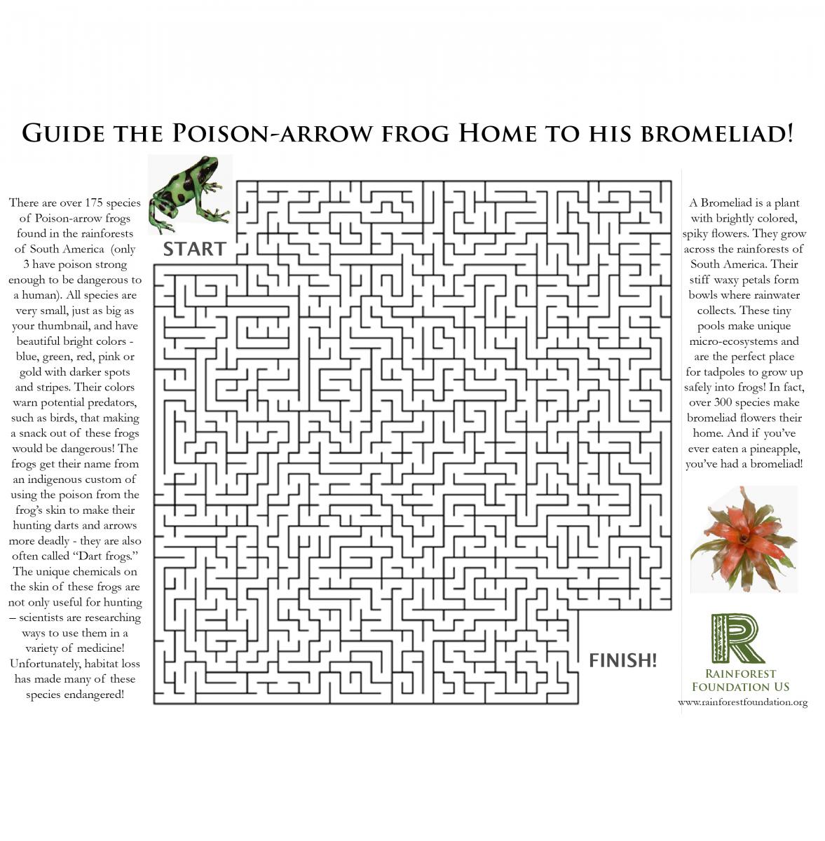 Ecosystem Word Search Printable Worksheets For All