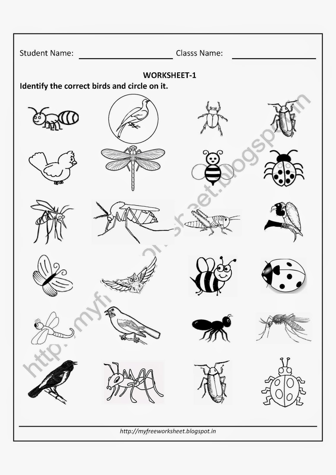 Free Printable Evs Worksheets For Class 1 Kindergarten Free
