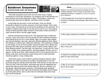 Free Reading Comprehension Worksheets For 6th Grade The Best