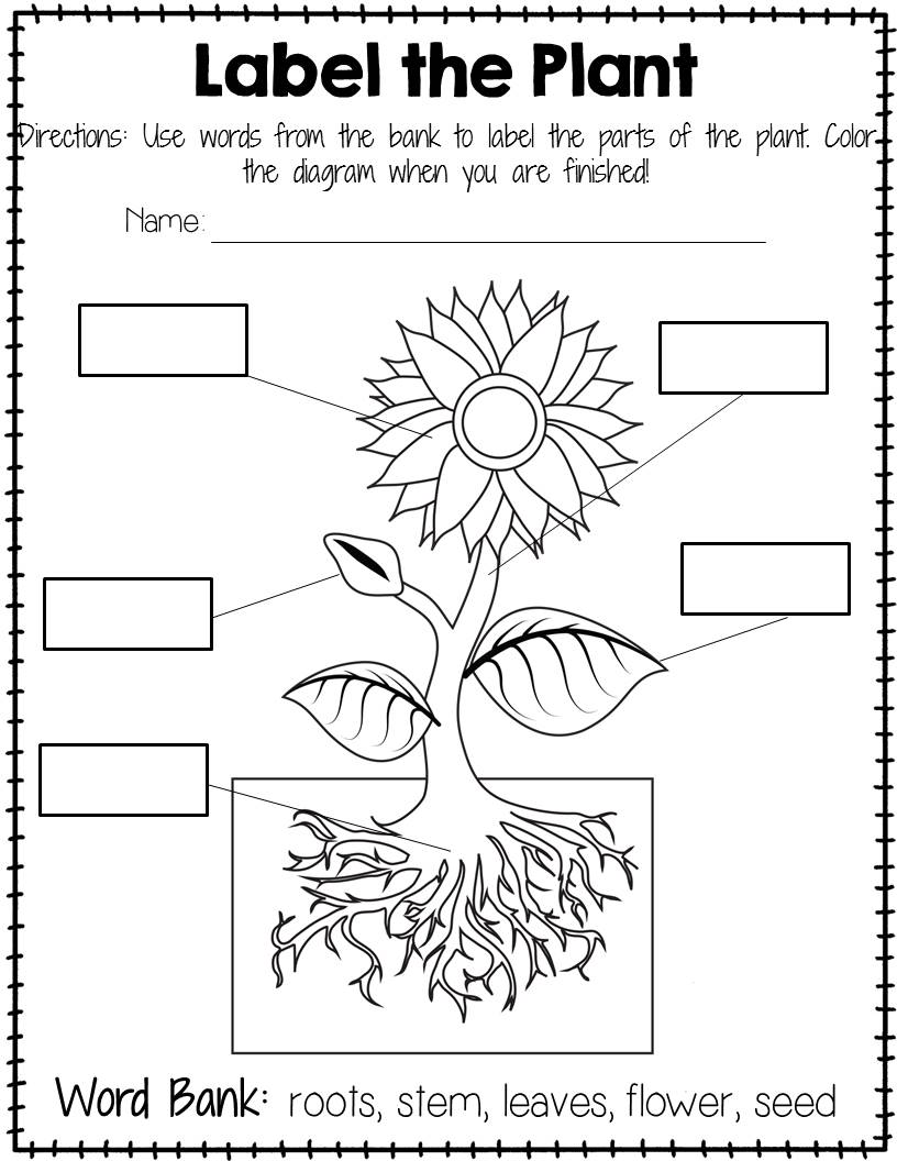 Free Worksheets Library