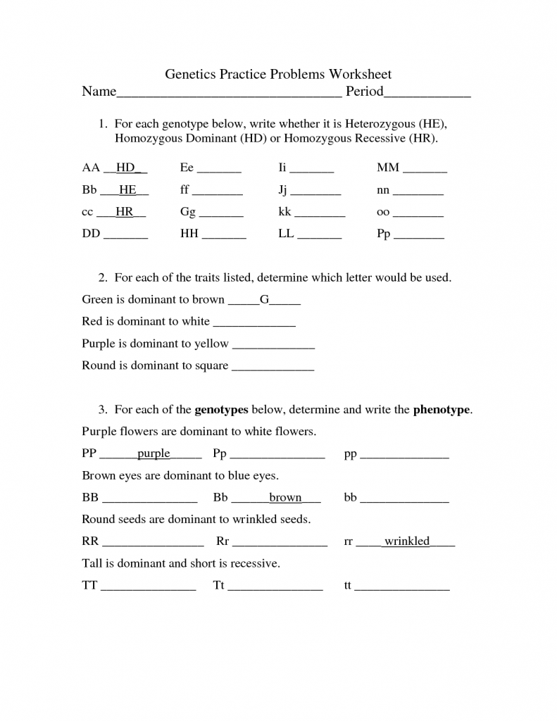 Genetic Problems Worksheet Answers Worksheets For All