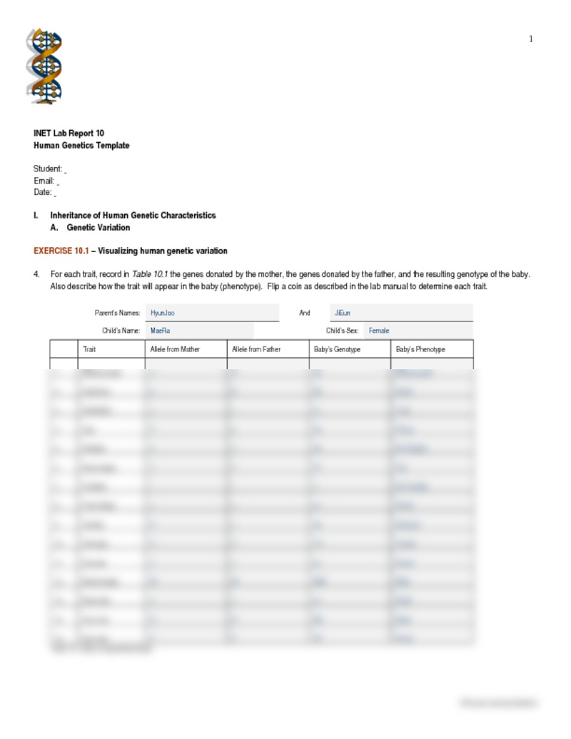 Inet Lab Report 10 Human Genetics Template