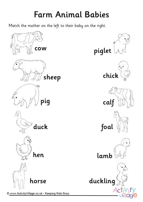 Jumbled Animals Interactive Worksheet The Animals Worksheets