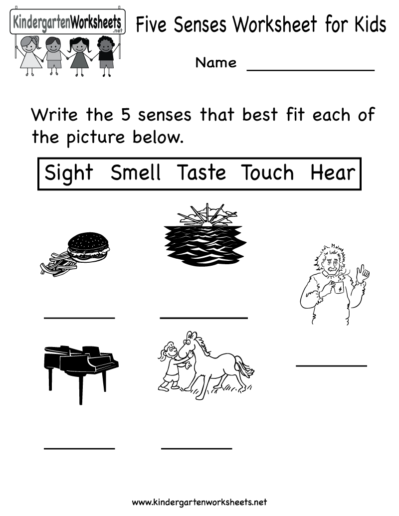 Kindergarten Five Senses Worksheet Printable Teaching Ideas