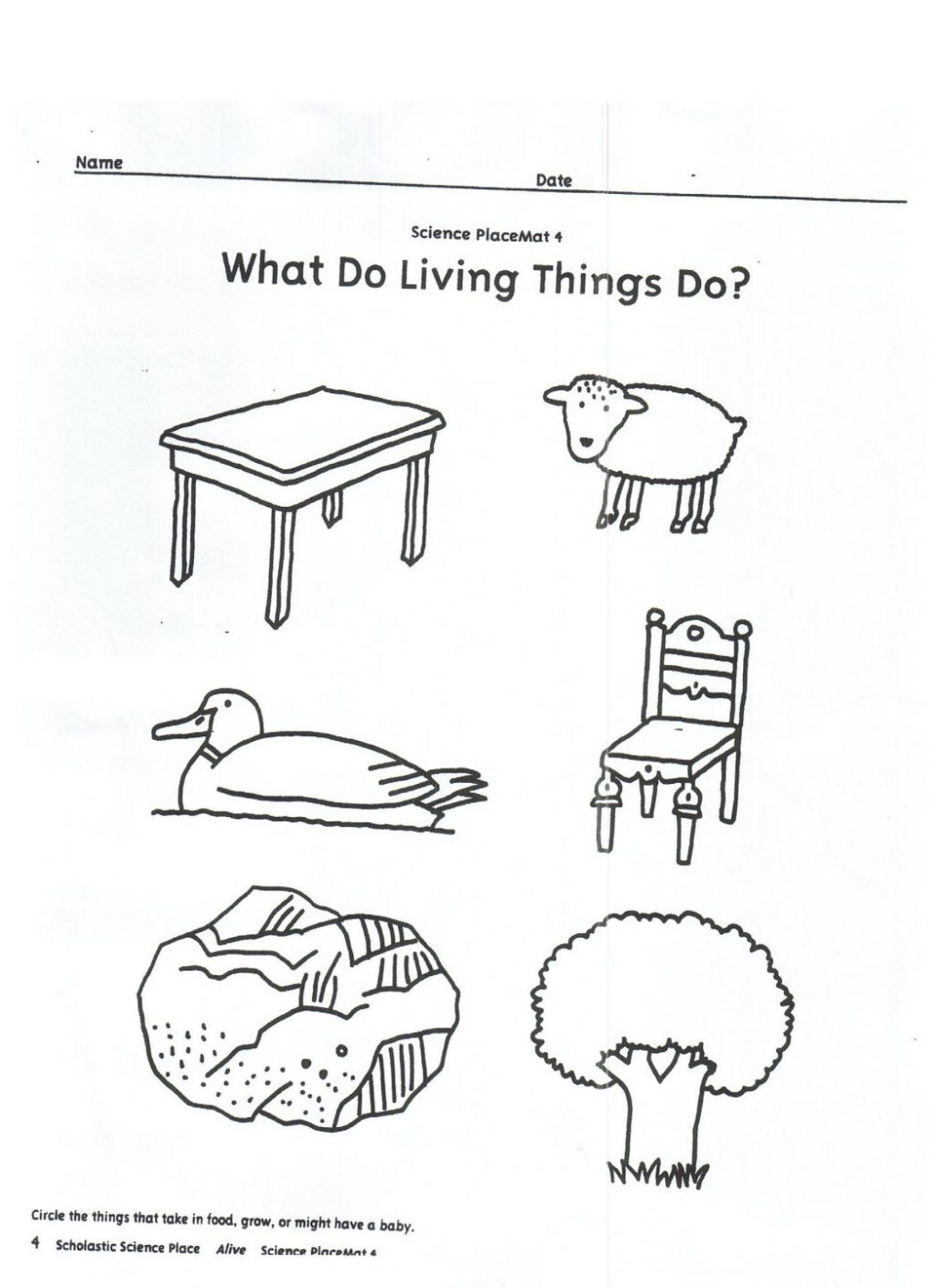 Living And Nonliving Worksheets Kindergarten Vs Worksheet Free