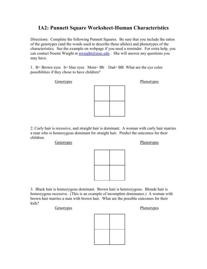 Punnett Square Practice Problems Answers