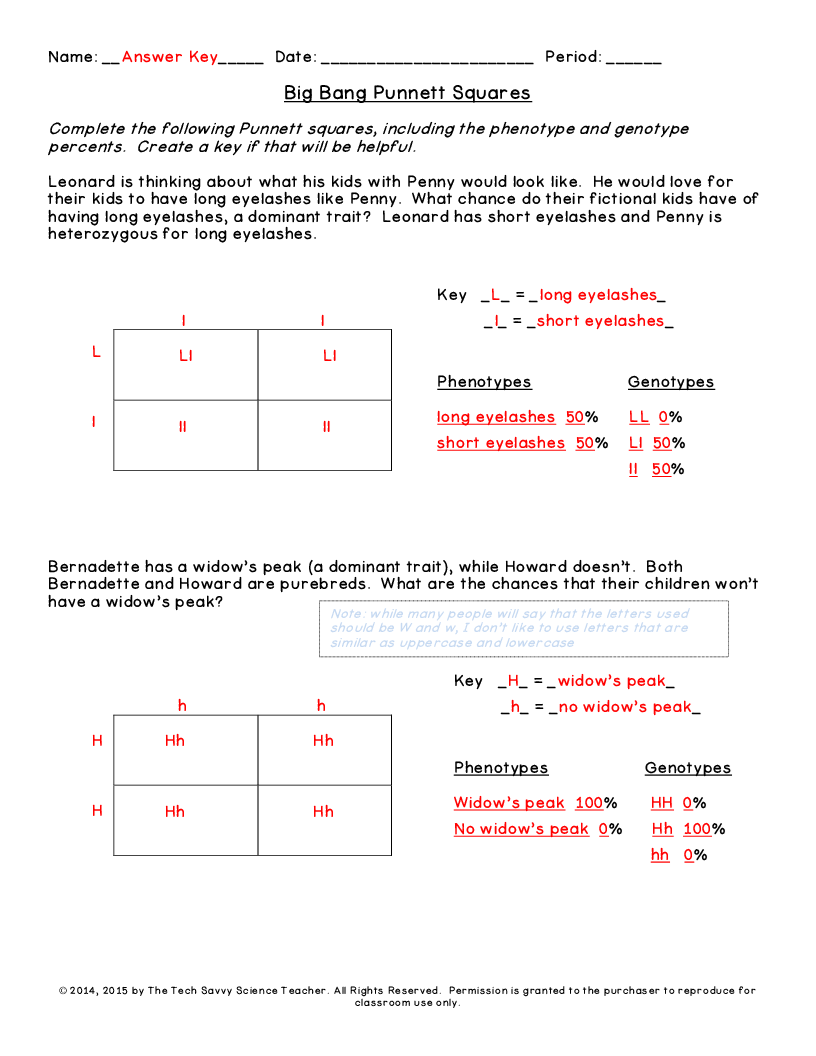 Punnett Square Worksheets For 5th Grade