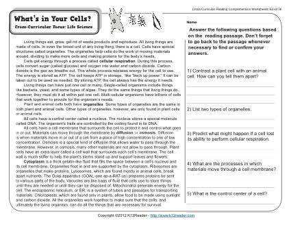 Reading Comprehension Worksheets 7th Grade The Best Worksheets
