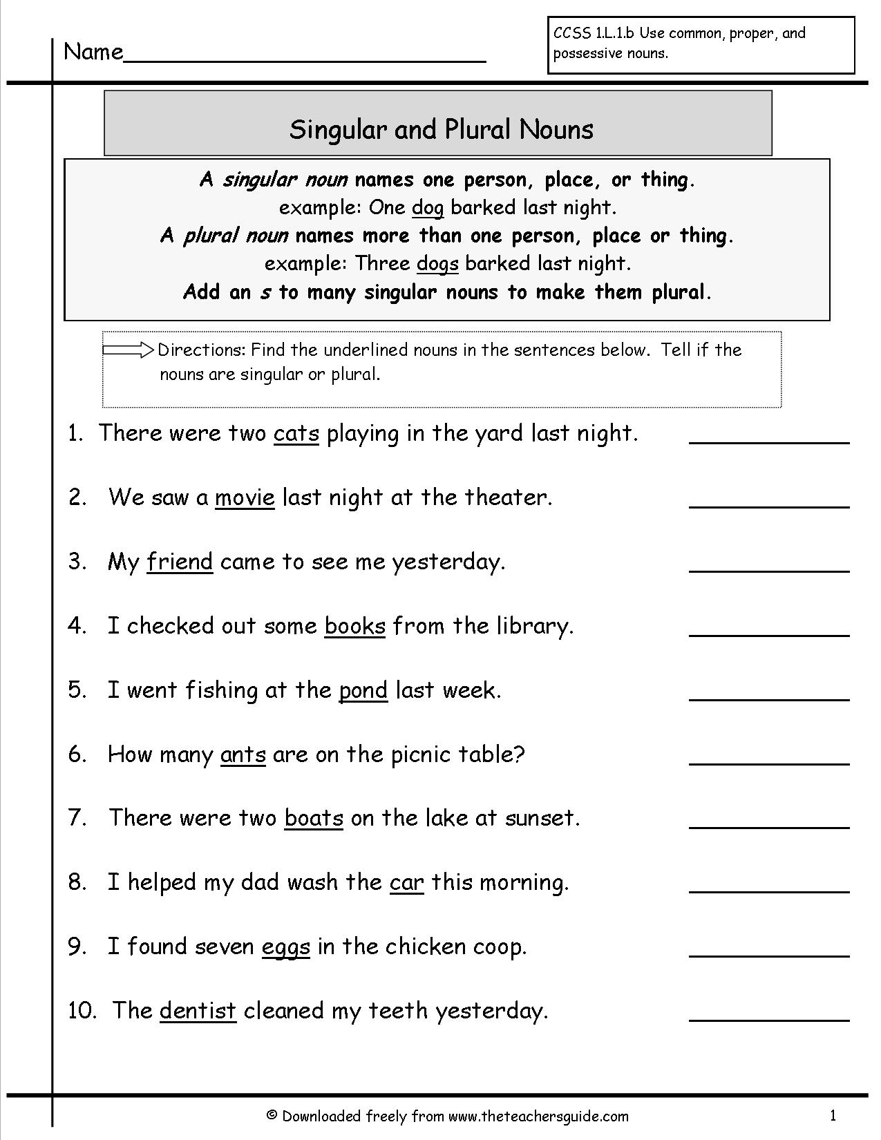 Singular Plural Possessive Nouns Worksheet The Best Worksheets