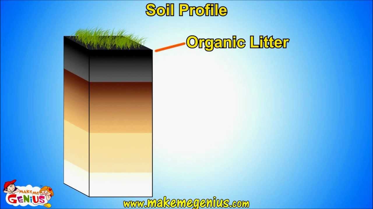 Soil Types & Soil Horizons (profile ) Unit For Kids