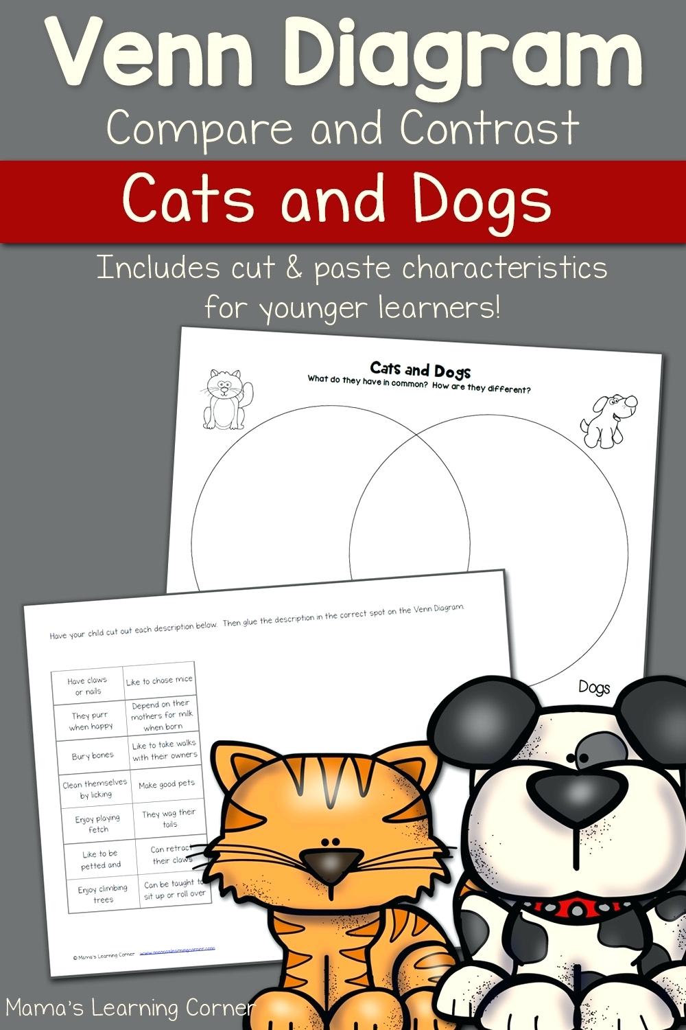 Compare And Contrast Worksheets 1st Grade