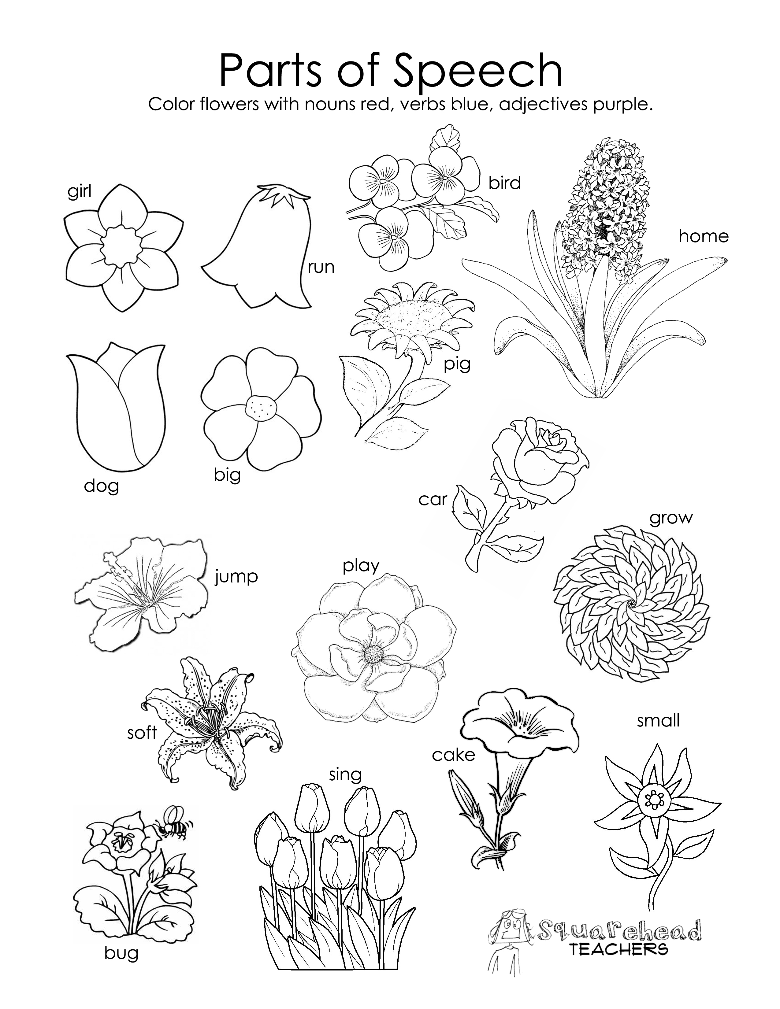 Spring flowers names