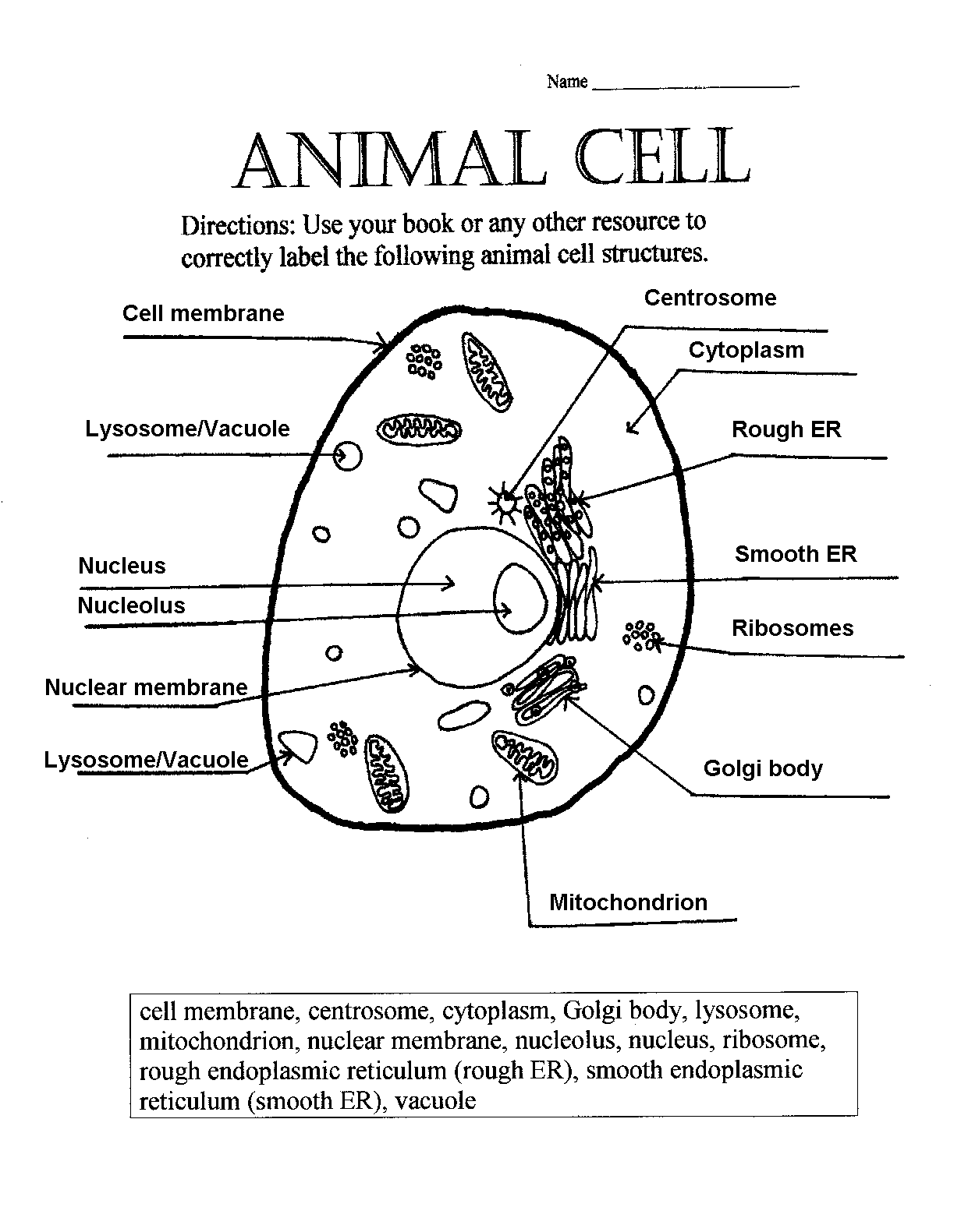 Animal Cell Worksheet Worksheets And Homeschool