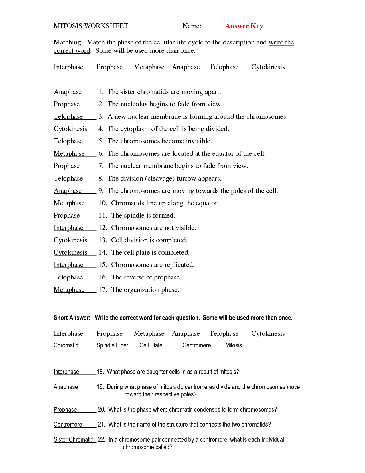 Cell Cycle Worksheet Answers Biology