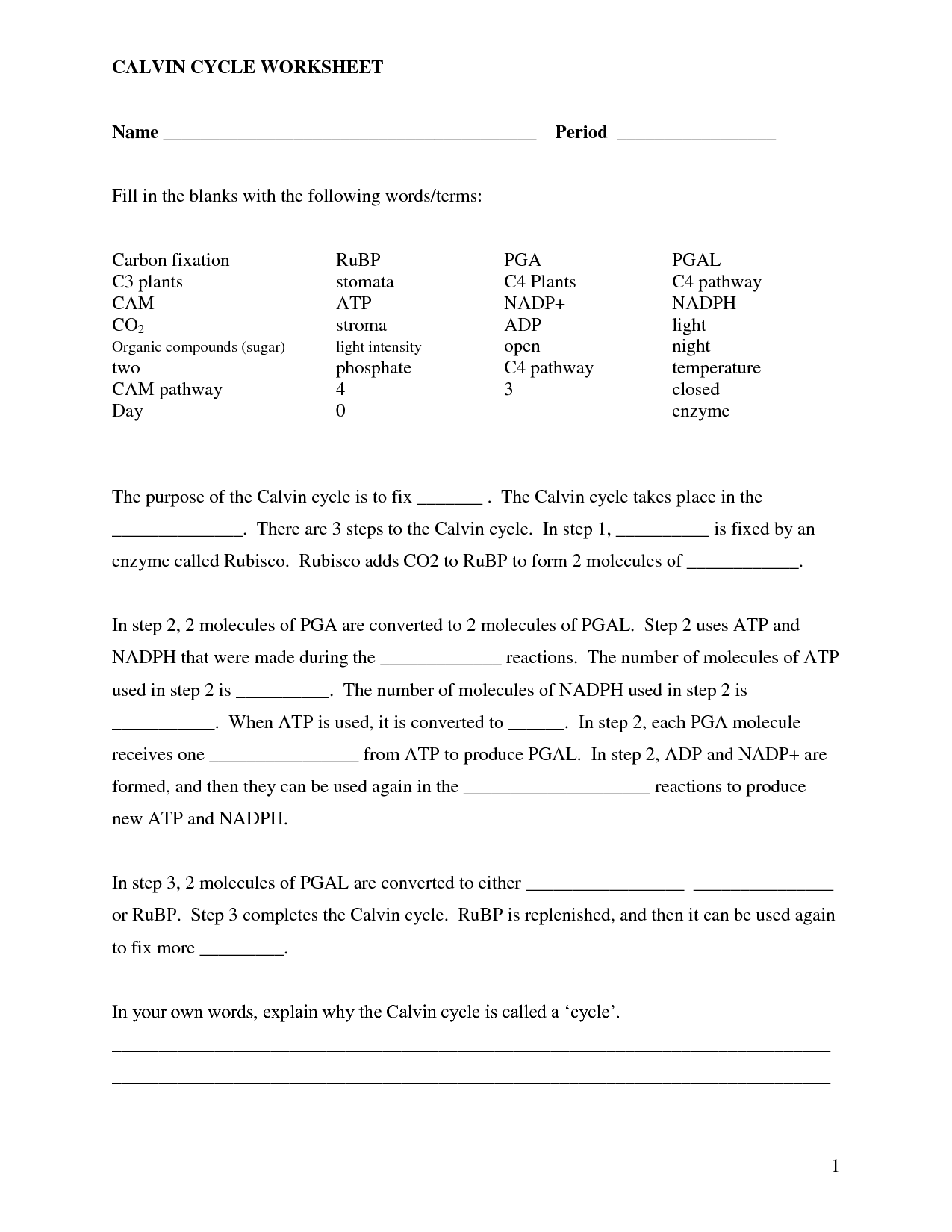 Cell Fill In The Blank Worksheet