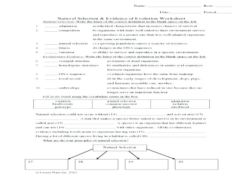 Collection Of Evolution Natural Selection Worksheet