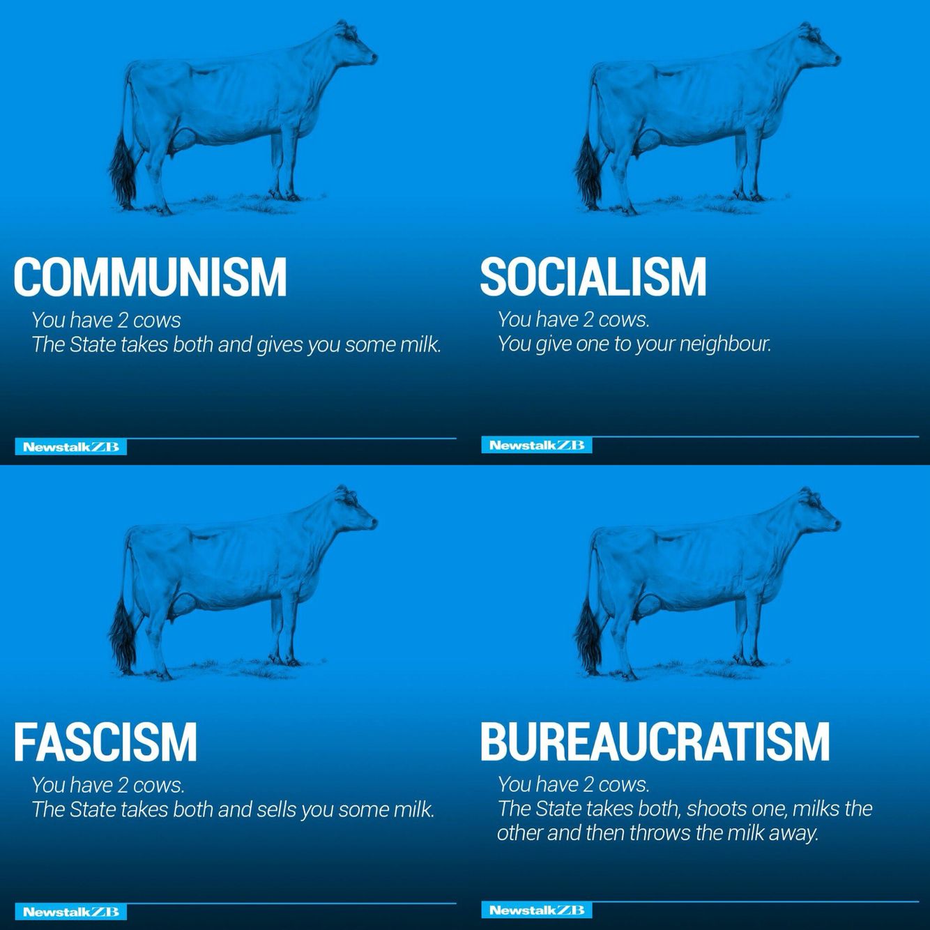 Cows Explain It Best