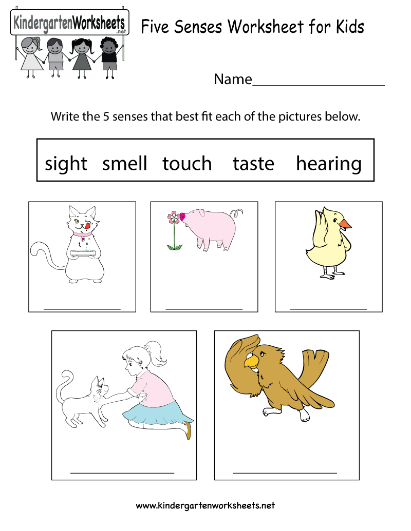 Free Kindergarten Science Worksheets Learning The Basics Of Skills